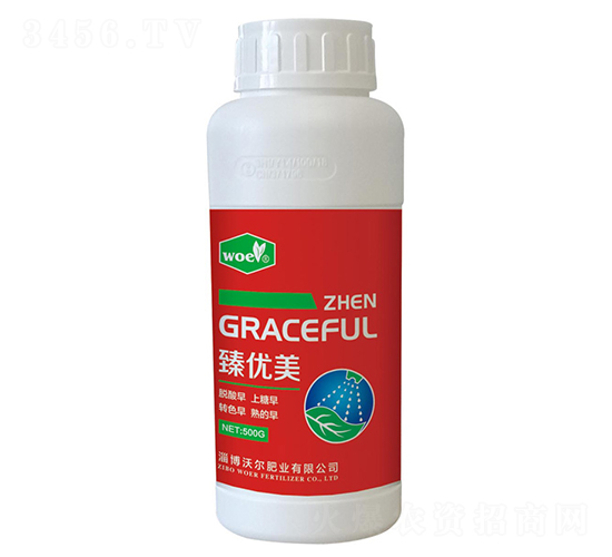 �~���-�郞(y��u)��-�֠��ʘI(y��)