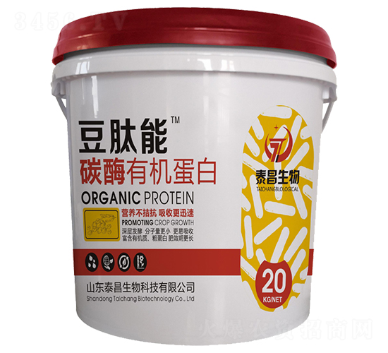 ̼ø�ЙC����-������-̩������