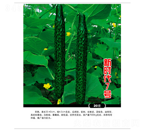 新時代7號-黃瓜種子-農百萬