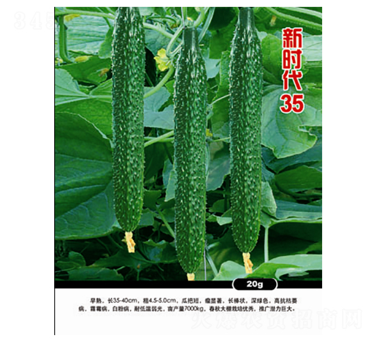 新時(shí)代35-黃瓜種子-農(nóng)百萬(wàn)