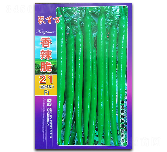 香辣脆21號-線椒種子-農(nóng)百萬