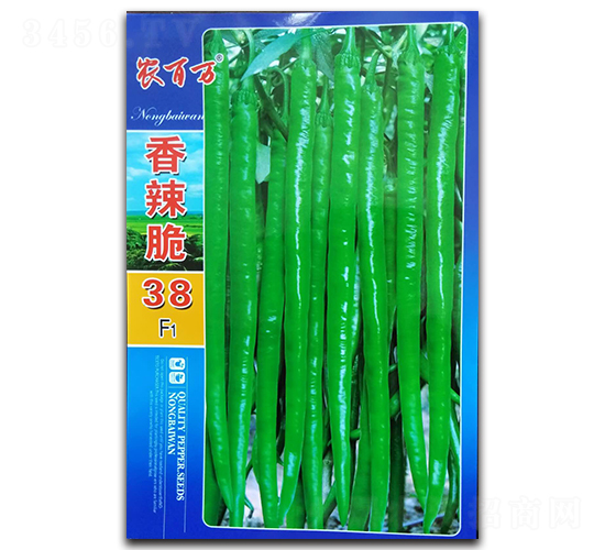 香辣脆38號-線椒種子-農(nóng)百萬