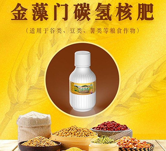 �����T̼?x��)�˷?���S