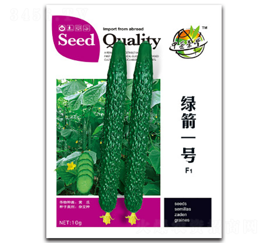 綠箭一號FI-黃瓜種子-華豐種業(yè)