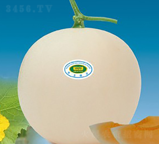 ��������-��ϷN��-�A�S�N�I(y��)