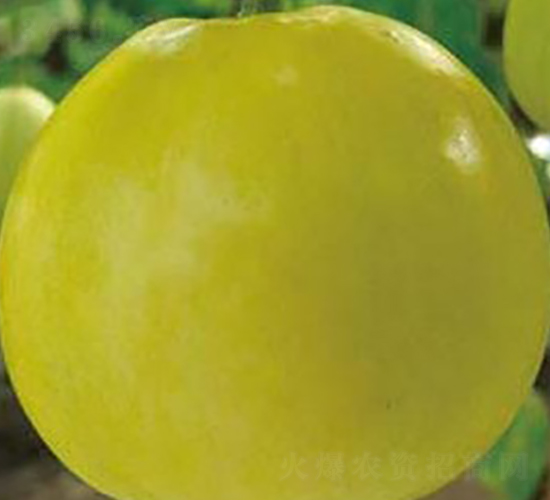 ����415-��ϷN��-�A�S�N�I(y��)