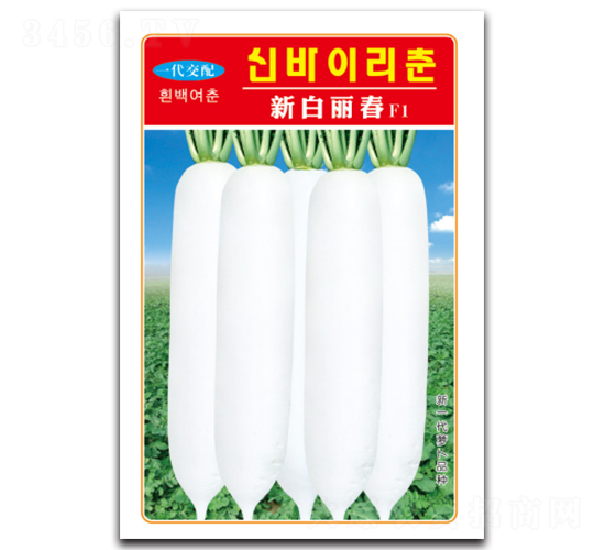 ������-�}���N��-�d�߷N�I(y��)