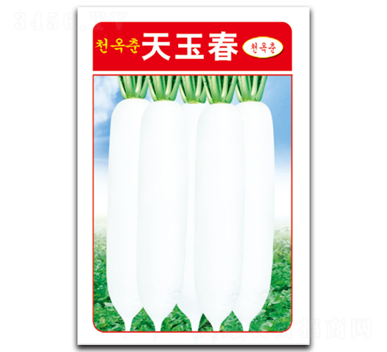 ����-�}���N��-�d�߷N�I(y��)