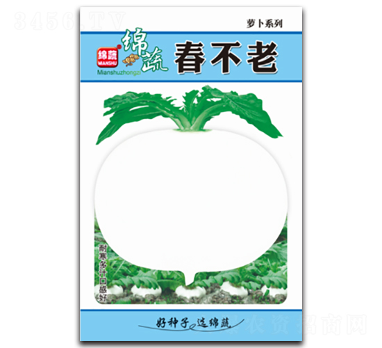 春不老-蘿卜種子-綿蔬種業(yè)