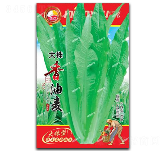 ����������-�����˷N��-�d�߷N�I(y��)