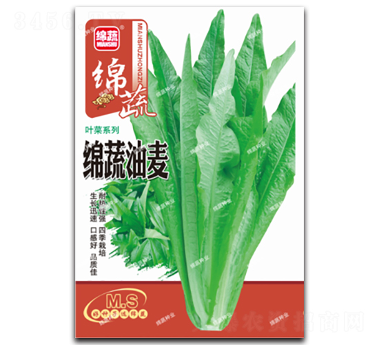 �d������-�����˷N��-�d�߷N�I(y��)