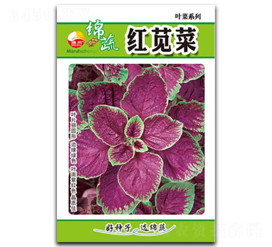 �t�{��-�t�{�˷N��-�d�߷N�I(y��)