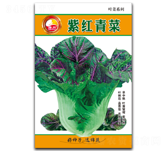 �ϼt���-��˷N��-�d�߷N�I(y��)