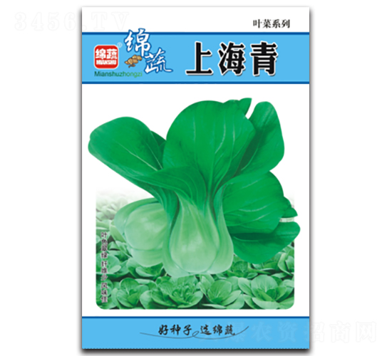 �Ϻ���-��˷N��-�d�߷N�I(y��)