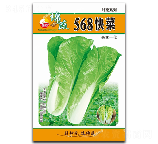 568���-��˷N��-�d�߷N�I(y��)