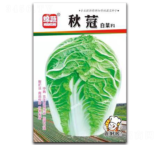 秋蒄-白菜種子-綿蔬種業(yè)