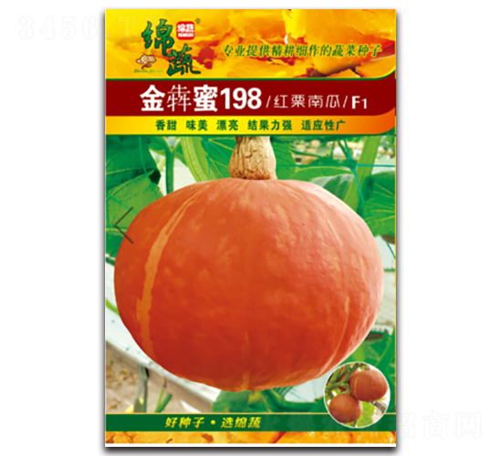 金犇蜜198-南瓜種子-綿蔬種業(yè)