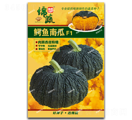 �{�~�Ϲ�-�ϹϷN��-�d�߷N�I(y��)