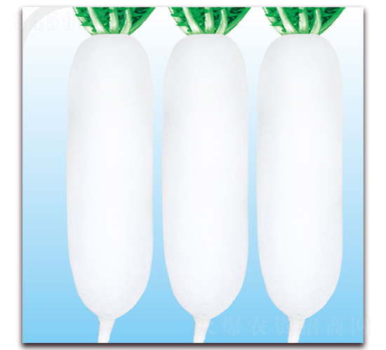 �����̖(h��o)-�}���N��-��֮�W