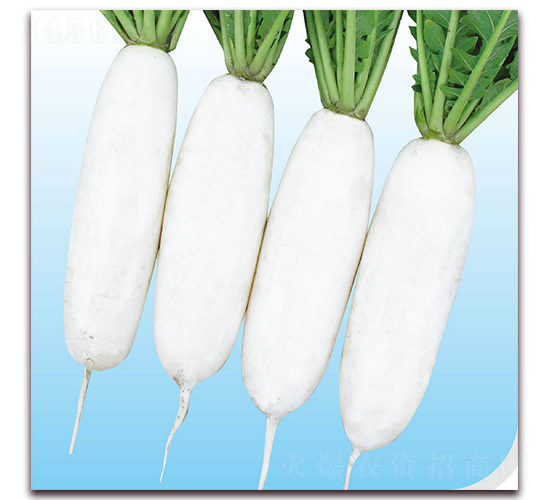 ������-�}���N��-��֮�W