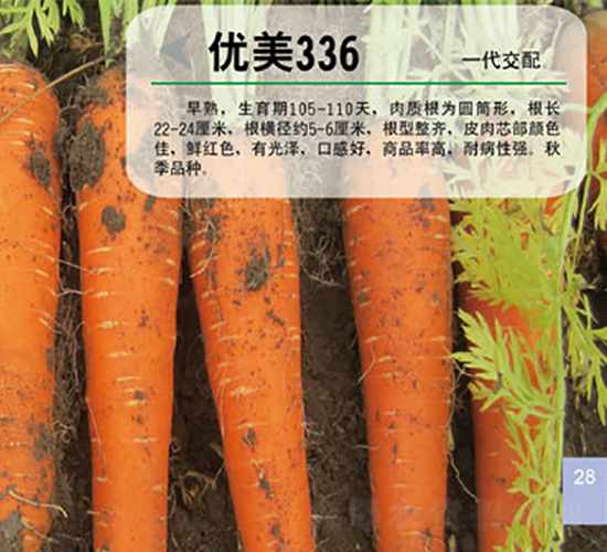 ��(y��u)��336-�}���N��-��֮�W