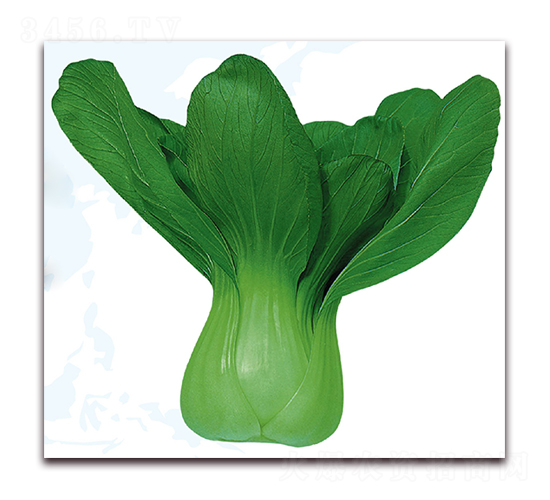 �۹�2̖(h��o)-�ײ˷N��-��֮�W