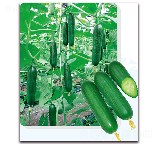 ���W6̖(h��o)-�S�ϷN��-��֮�W