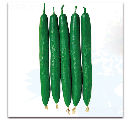 ���۹�(ji��)��1̖-�S�ϷN��-��֮�W