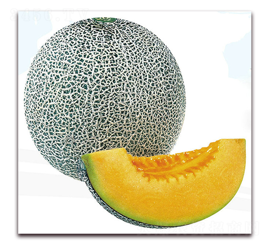 ��W(w��ng)-��ϷN��-��֮�W