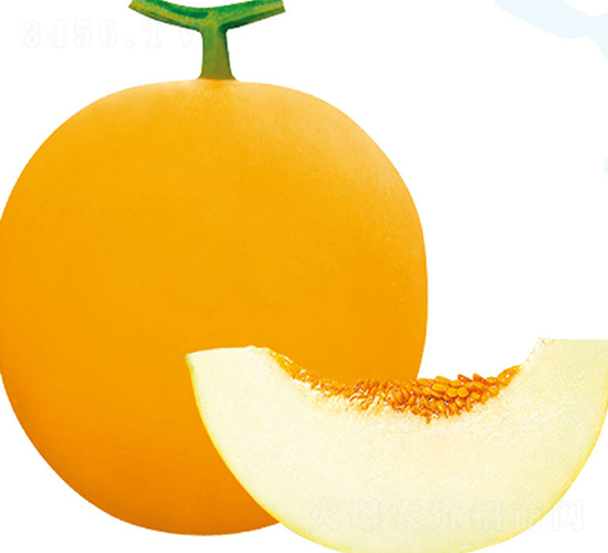 ����ɯ��3̖-��ϷN��-��֮�W