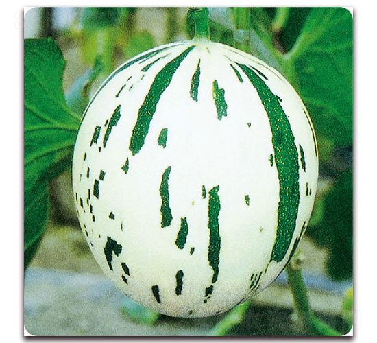 ����������-��ϷN��-��֮�W