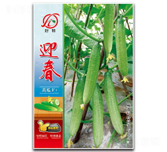 ӭ��-�S�ϷN��-���؈@ˇ