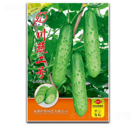 ���߶�̖-�S�ϷN��-���؈@ˇ