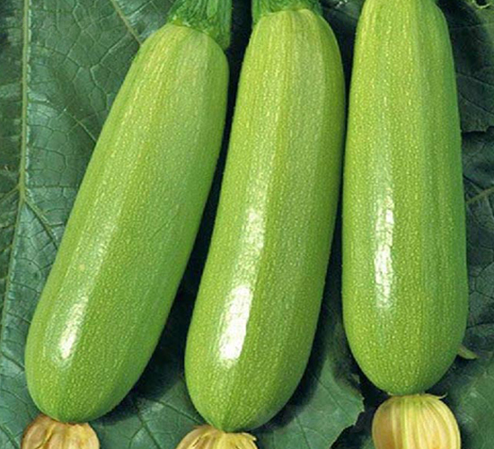 �G�S-�����J�N��-���_