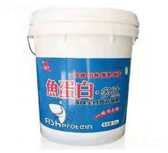 �~���ס�����-����