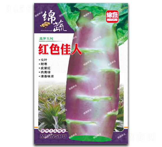 紅色佳人-萵筍種子-綿蔬種業(yè)