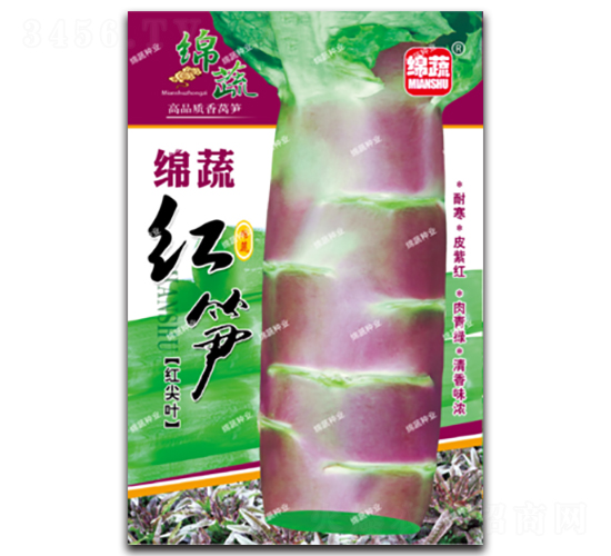 綿蔬紅筍-萵筍種子-綿蔬種業(yè)