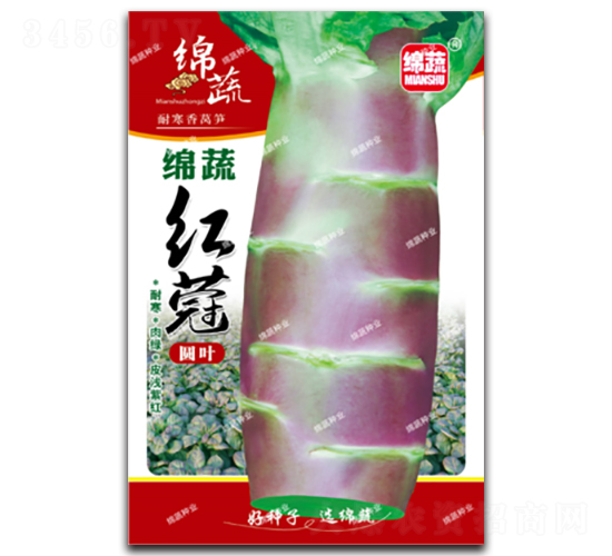 �d�߼t�F-�n�S�N��-�d�߷N�I(y��)