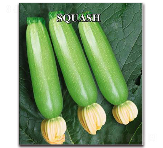 �Rʢ-�����J�N��-����r(n��ng)�I(y��)