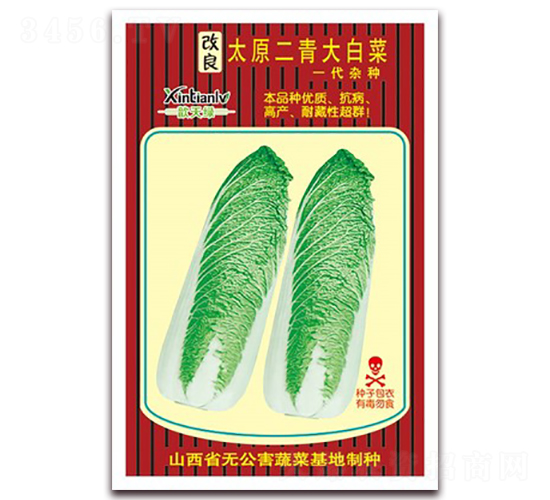 太原二青大白菜-白菜種子-歆天綠