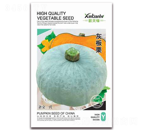 灰板栗-南瓜種子-歆天綠