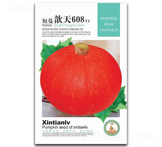 短蔓歆天608-南瓜種子-歆天綠