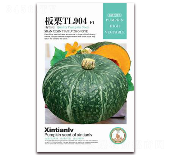 板栗TL904-南瓜種子-歆天綠