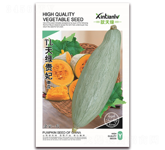 TL天綠貴妃南瓜-南瓜種子-歆天綠