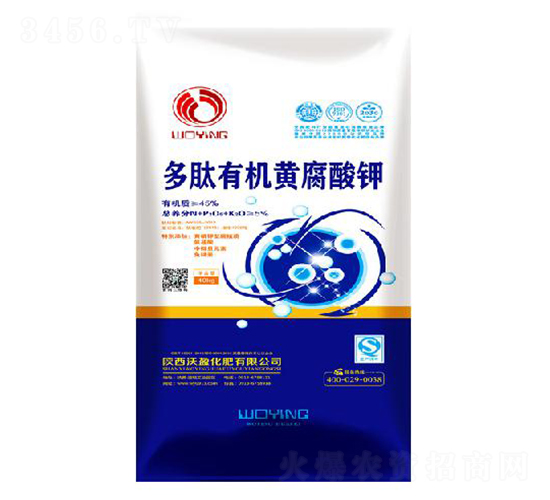 �����ЙC�S�����-��ӯ����