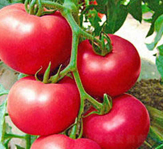 ����-�۹����ѷN��-���_(d��)