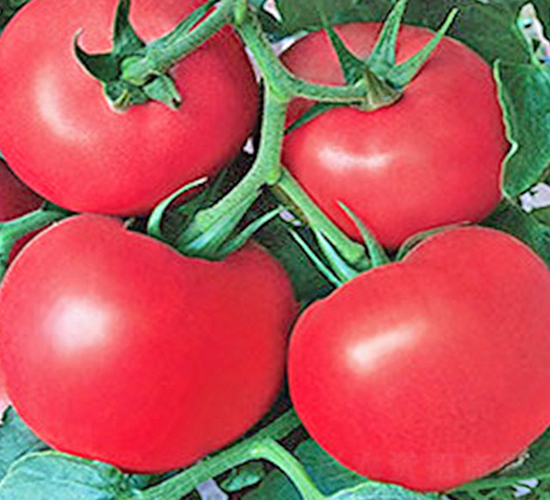 ����-�۹����ѷN��-���_(d��)