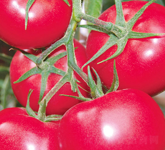 ������̖-�۹����ѷN��-���_(d��)