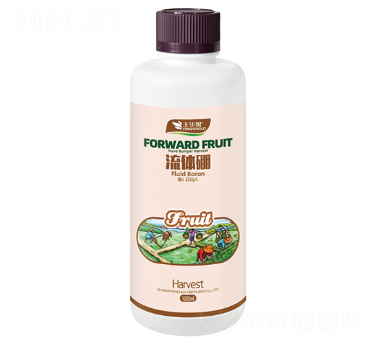 ���w��-�S�A��-�S�A�ʘI(y��)