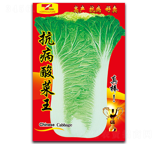 ���������-�ײ˷N��-���ǷN�I(y��)